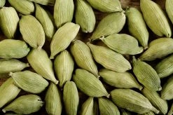 Sow Exotic Cardamom (Elettaria Cardamomum) 9 Sow Exotic Cardamom (Elettaria Cardamomum)