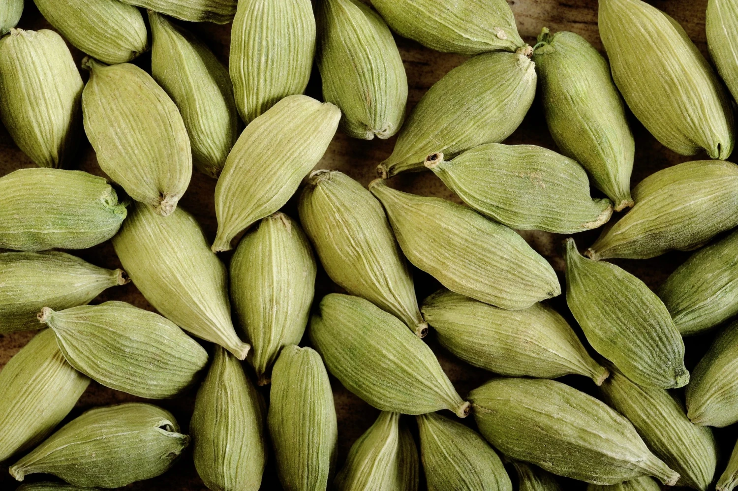 Sow Exotic Cardamom (Elettaria Cardamomum) 5 Sow Exotic Cardamom (Elettaria Cardamomum)