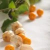 Sow Exotic Hawaiian Poha Berry (Physalis Peruviana)