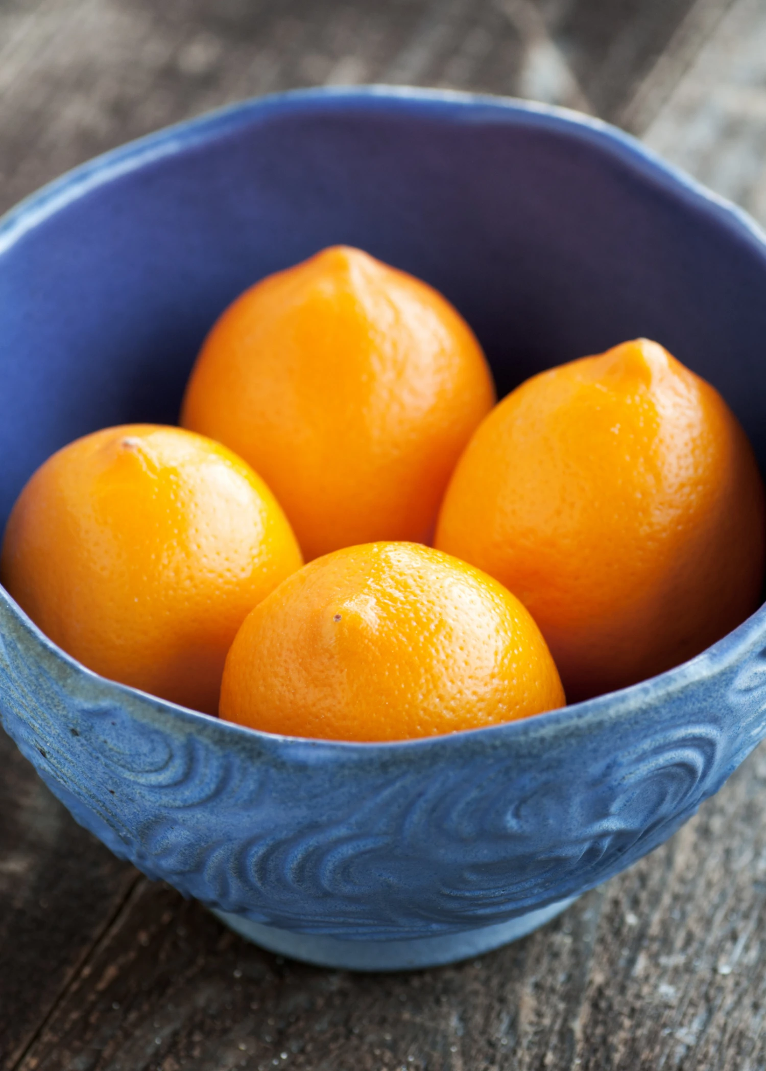 Sow Exotic Tropical Fruit & Spice Trees Meyer Lemon (Citrus × Meyeri) 8 Sow Exotic Tropical Fruit & Spice Trees Meyer Lemon (Citrus × Meyeri)