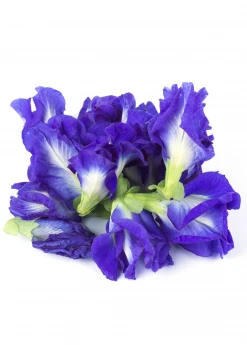 Sow Exotic Butterfly Pea (Clitoria Ternatea) 6 Sow Exotic Butterfly Pea (Clitoria Ternatea)
