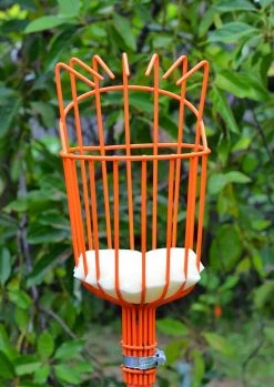 Sow Exotic Fruit Picker