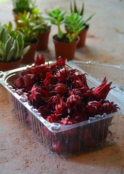 Sow Exotic PRE-ORDER Florida Cranberry Hibiscus Fruit Box