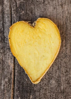 Sow Exotic Ginger, Yellow (Zingiber Officinale) Medicinal & Culinary Herbs