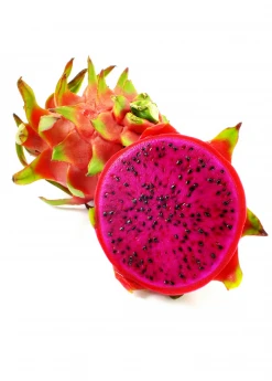 Sow Exotic Dragon Fruit, Red 'Tricia' (Hylocereus Polyrhizus)