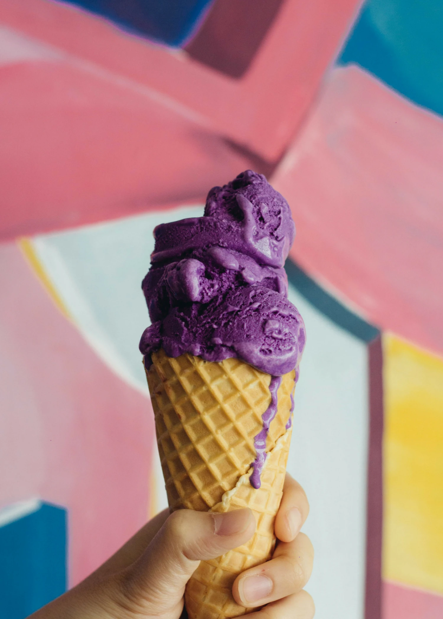 Sow Exotic Rare Fruiting Plants Ube (Dioscorea Alata)