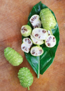 Sow Exotic Noni (Morinda Citrifolia) Tropical Fruit & Spice Trees 12 Sow Exotic Noni (Morinda Citrifolia) Tropical Fruit & Spice Trees