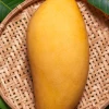 Sow Exotic Mango 'Nam Doc Mai' (Mangifera Indica) Tropical Fruit & Spice Trees