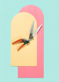 Terrebonne Bahco 3 Position Grass Shears