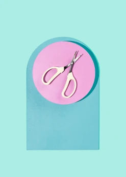 Terrebonne Angled Blade Fruit Scissor Garden Tools