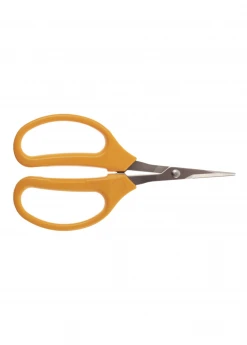 Sow Exotic Stainless Grape Scissors