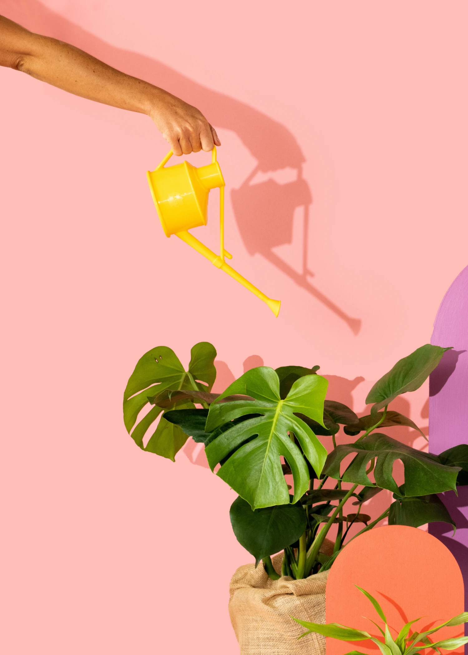 Terrebonne Haws Handy Watering Can Garden Tools 1 Terrebonne Haws Handy Watering Can Garden Tools