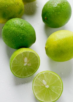 Sow Exotic Tropical Fruit & Spice Trees Key Lime (Citrus × Aurantiifolia)