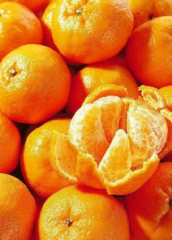 Sow Exotic Ponkan Mandarin, Chinese Honey Orange (Citrus Poonensis)