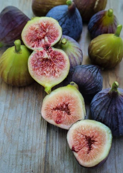 Sow Exotic Tropical Fruit & Spice Trees Fig 'Violete De Bordeaux' (Ficus Carica)