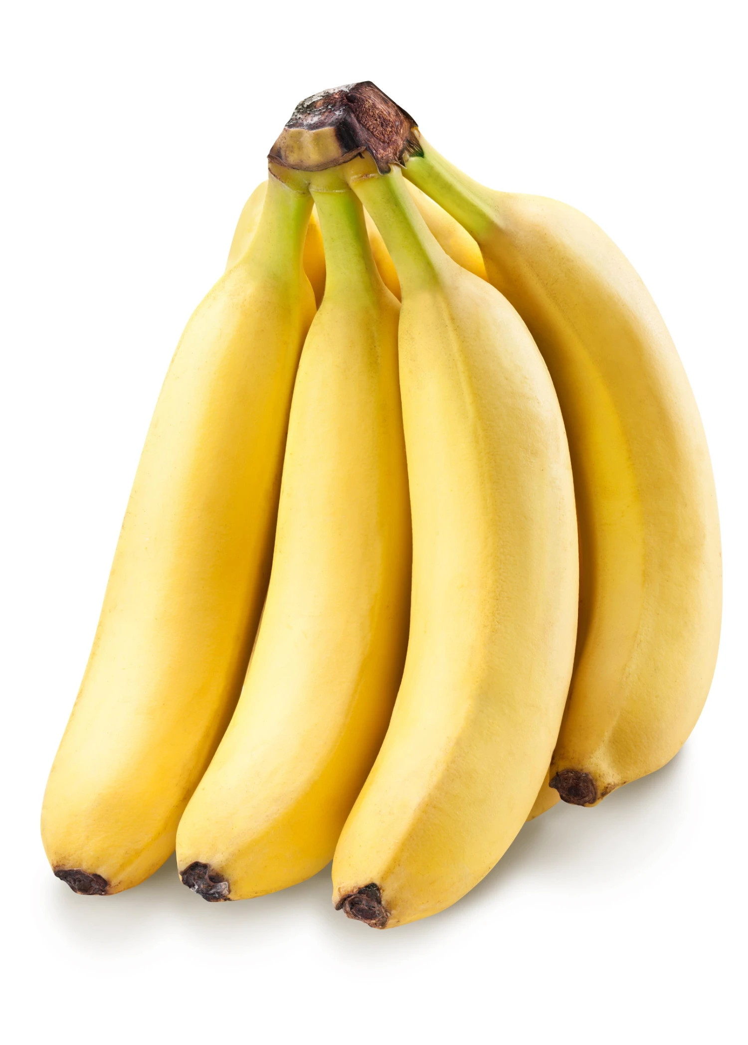 Sow Exotic Banana 'Grand Nain' (Musa) 2 Sow Exotic Banana 'Grand Nain' (Musa)