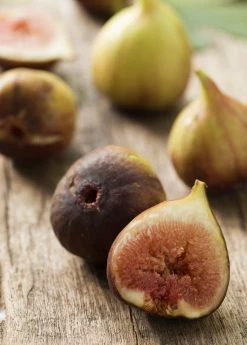 Sow Exotic Fig 'Brown Turkey' (Ficus Carica)