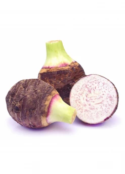 Sow Exotic Medicinal & Culinary Herbs Taro 'Chinese Bun Long' (Colocasia Esculenta)