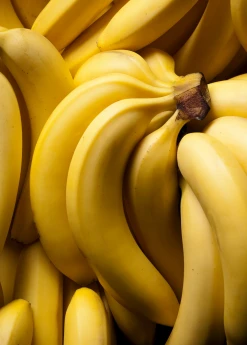 Sow Exotic Tropical Fruit & Spice Trees Banana 'Dwarf Cavendish' (Musa Acuminata)