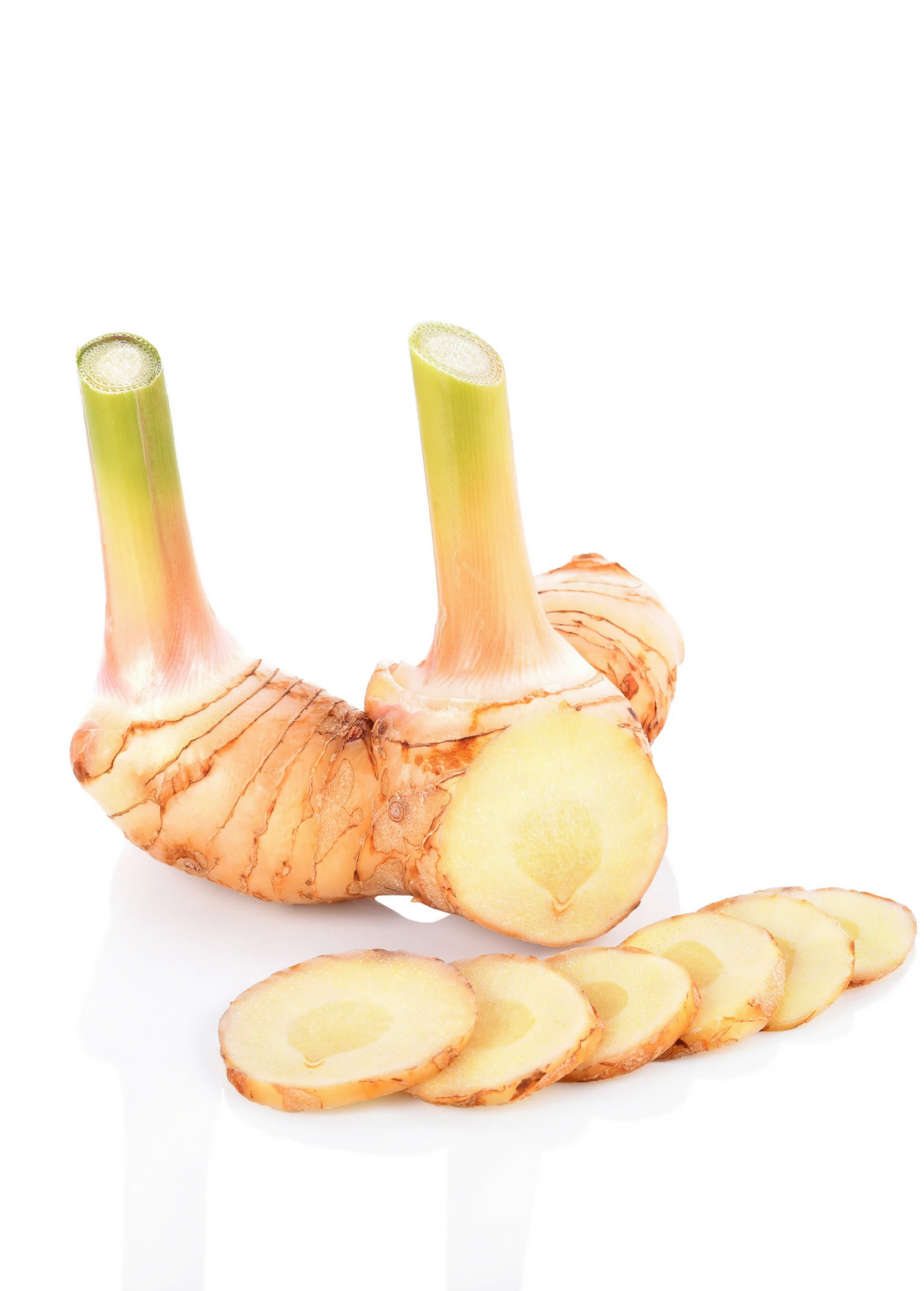 Sow Exotic Greater Galangal (Alpinia Galanga) 3 Sow Exotic Greater Galangal (Alpinia Galanga)