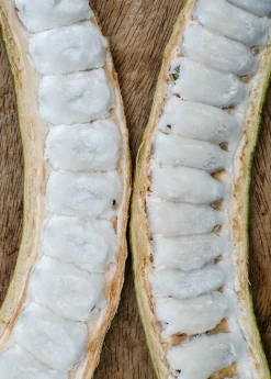 Sow Exotic Ice Cream Bean (Inga Edulis) Tropical Fruit & Spice Trees