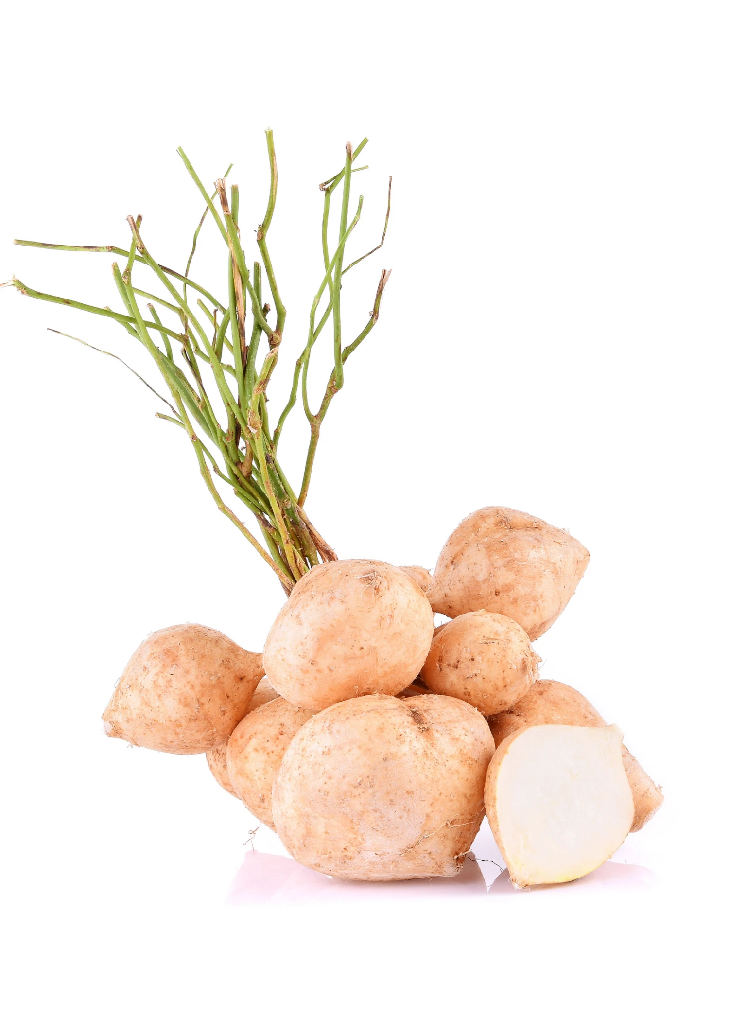 Sow Exotic Rare Fruiting Plants Jicama (Pachyrhizus Erosus) 2 Sow Exotic Rare Fruiting Plants Jicama (Pachyrhizus Erosus)