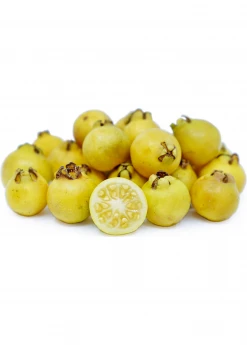 Sow Exotic Tropical Fruit & Spice Trees Guava, Lemon (Psidium Littorale)