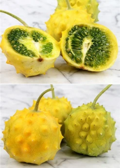 Sow Exotic Kiwano, Yellow Round (Cucumis Metuliferus)