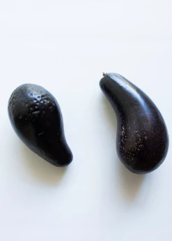 Sow Exotic Avocado 'Mexicola' (Persea Americana) Tropical Fruit & Spice Trees