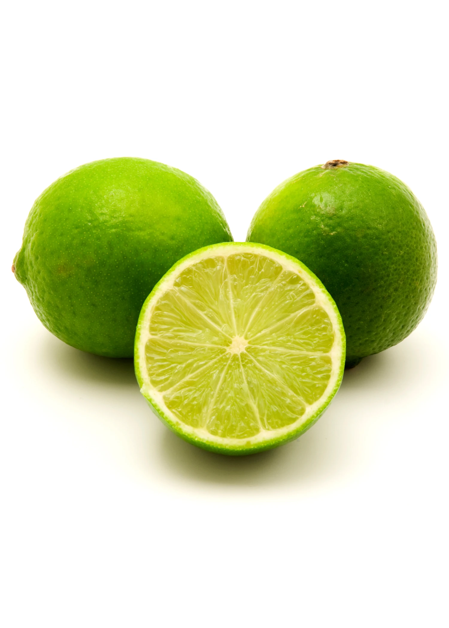 Sow Exotic Tropical Fruit & Spice Trees Persian Lime (Citrus × Latifolia)