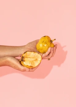 Sow Exotic Tropical Fruit & Spice Trees Pond Apple (Annona Glabra)