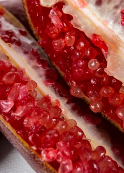 Sow Exotic Red Finger Lime (Citrus Australasica)