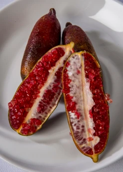 Sow Exotic Red Finger Lime (Citrus Australasica)