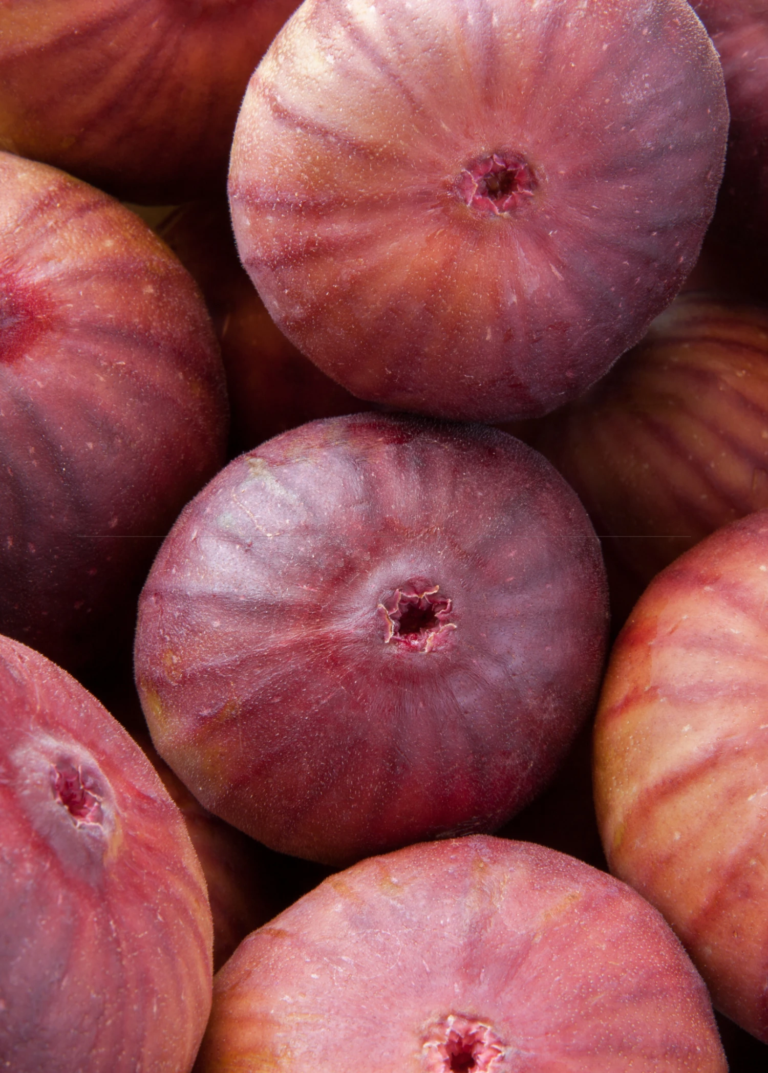 Sow Exotic Fig 'Royal Vineyard' (Ficus Carica) Tropical Fruit & Spice Trees 2 Sow Exotic Fig 'Royal Vineyard' (Ficus Carica) Tropical Fruit & Spice Trees