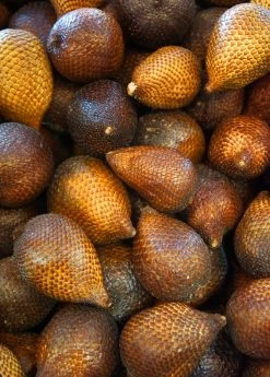 Sow Exotic Tropical Fruit & Spice Trees Snake Fruit (Salacca Zalacca)