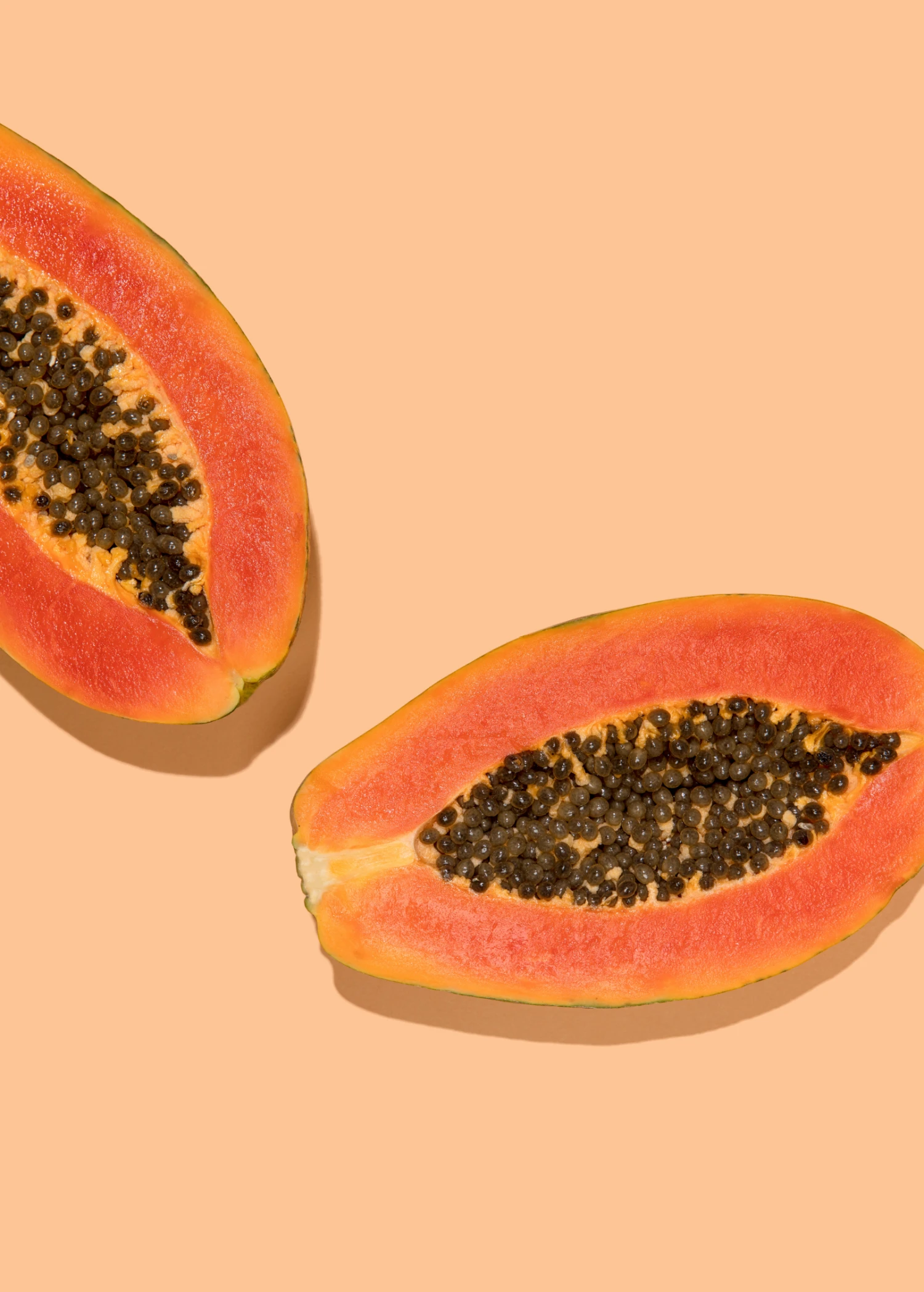 Sow Exotic Papaya, 'Dwarf Red Lady' (Carica Papaya) Tropical Fruit & Spice Trees 1 Sow Exotic Papaya, 'Dwarf Red Lady' (Carica Papaya) Tropical Fruit & Spice Trees