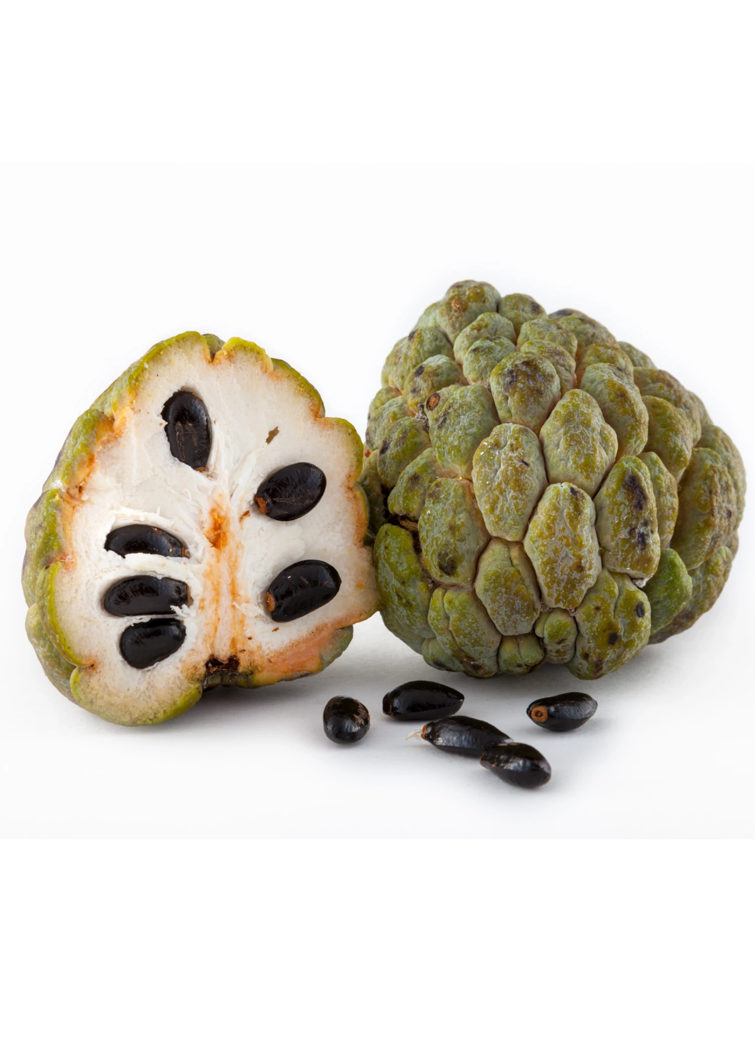 Sow Exotic Sugar Apple 'Thai Lessard' (Annona Squamosa L) 2 Sow Exotic Sugar Apple 'Thai Lessard' (Annona Squamosa L)